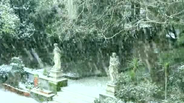 Inverno Rigoroso Sicília Floresta Neve Com Abeto Palmeiras Fundo Blazer — Vídeo de Stock