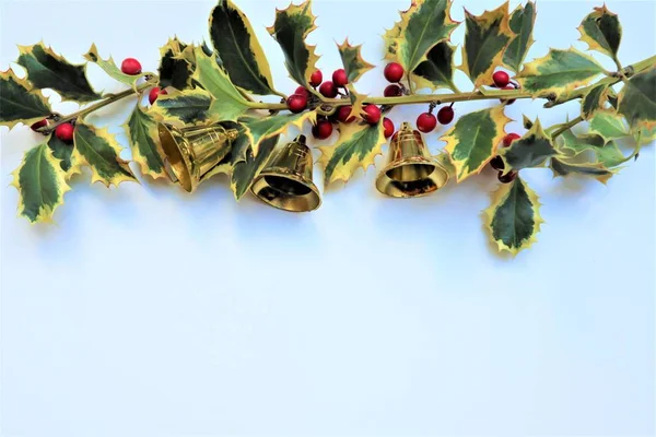Vánoce Holly s červenými bobulemi. — Stock fotografie