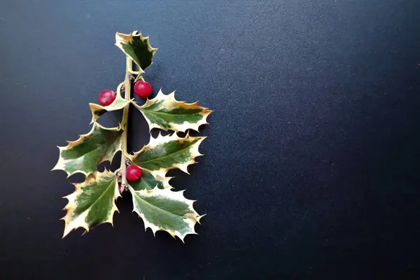 Složka nového ročníku a Xmas Holly s bobule. — Stock fotografie