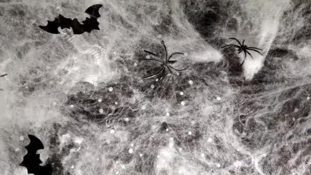Halloween Scene Zwarte Achtergrond Zwarte Decoratieve Vleermuizen Spinnen — Stockvideo