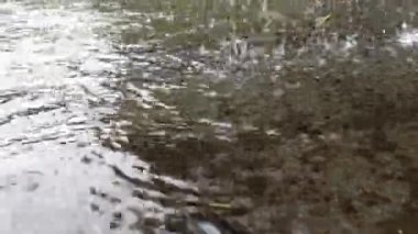 Çamura düşen yağmur damlası yere düşen yağmur damlası. Şiddetli yağmurlu bir günde yağmur suyu yere sıçrar..