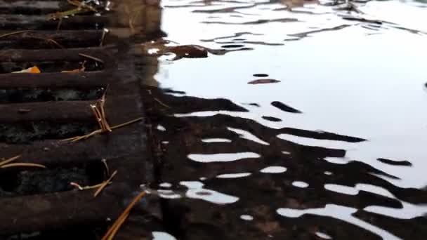 Deszcz Pada Chodnikówdeszczowa Kropla Wody Spada Podłogę Woda Deszczowa Rozpryskuje — Wideo stockowe