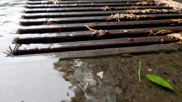 雨滴落在地板上 下大雨的时候雨水溅到了地上 — 图库视频影像