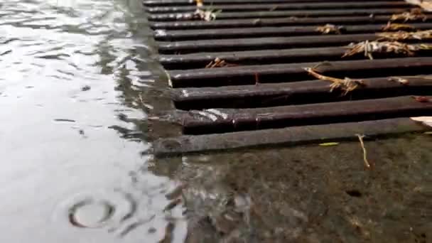 雨滴落在地板上 下大雨的时候雨水溅到了地上 — 图库视频影像