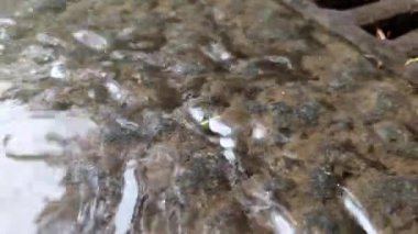Çamura düşen yağmur damlası yere düşen yağmur damlası. Şiddetli yağmurlu bir günde yağmur suyu yere sıçrar..