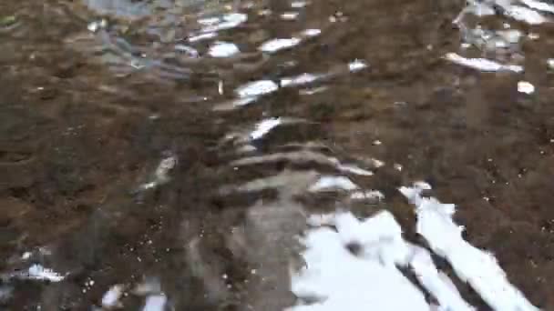 Lluvia Cayendo Sobre Pavimentogota Agua Lluvia Cayendo Suelo Agua Lluvia — Vídeos de Stock