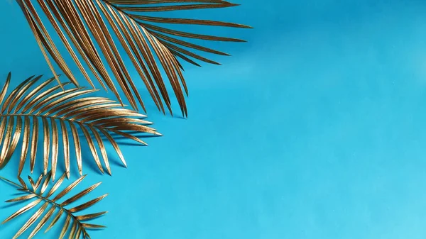 Top view,  Golden palm leaves on classic blue background.  Copy Spac