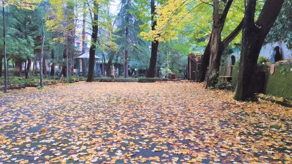 美丽的秋天公园 意大利的秋天 秋天的树和树叶 — 图库照片