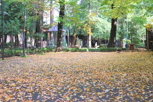 Beau Parc Automne Automne Italie Arbres Feuilles Automne — Photo