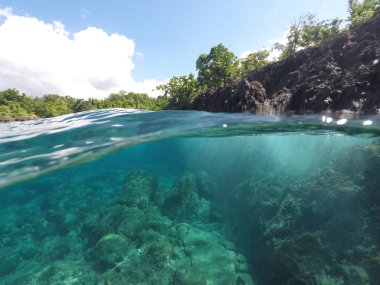 Her ikisi de üzerinde ve su, Caribbean, Basse Terre, Guadeloupe, Fransızca Karayip kıyı şeridi altında.