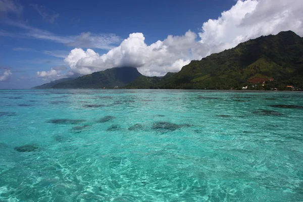 Tropical Coast Moorea Turquoise Water Beautiful Islands Mountains French Polynesia — Stock Photo, Image