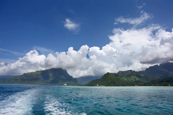 Cruise Ship Anchored Coast Orea One Windward Islands Society Islands — Stock Photo, Image