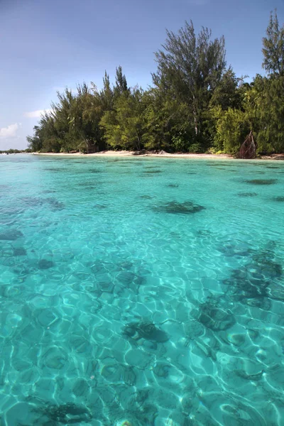 Costa Tropical Moorea Com Água Azul Turquesa Belas Ilhas Polinésia — Fotografia de Stock