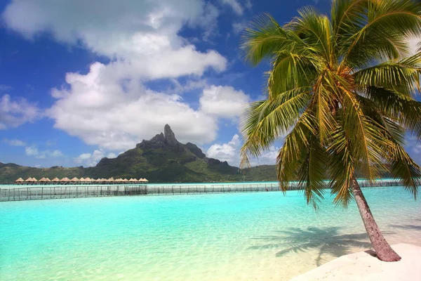 Belle Plage Tropicale Avec Mont Otemanu Arrière Plan Bora Bora — Photo