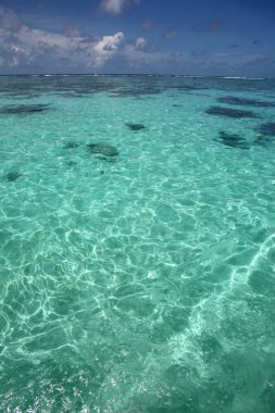 Tropikal Pasifik Okyanusu, açık turkuaz su ve güzel mavi gökyüzü, Tahiti.