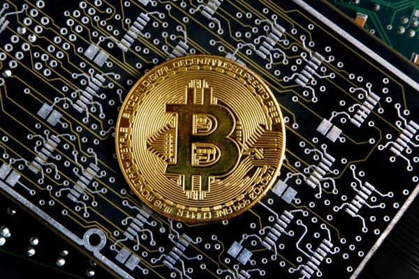 Bitcoin moneda de oro en un circuito flexible de plata, gris y negro ordenador . — Foto de Stock