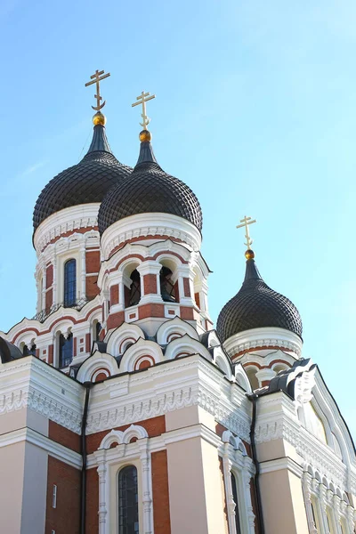 Hermoso Punto Referencia Del Centro Ciudad Catedral Nevsky Una Catedral — Foto de Stock