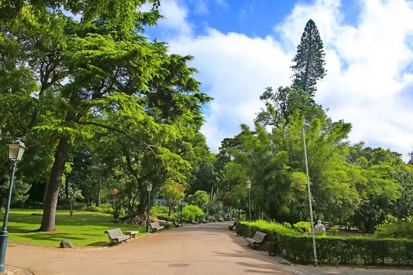 Praca Estrela Beautiful City Center Park Gardens Historic Downtown Area — Stock Photo, Image