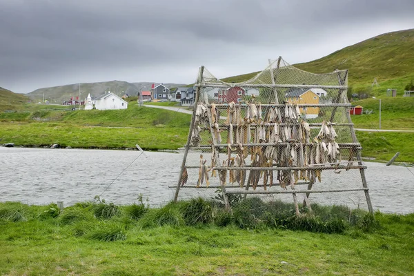 Mageroya島の北海岸に沿って存在するSkarsvagの村で魚の乾燥 世界最北の漁村である ノルウェー トロムズログのノルトカップ自治体 Finnmark County — ストック写真