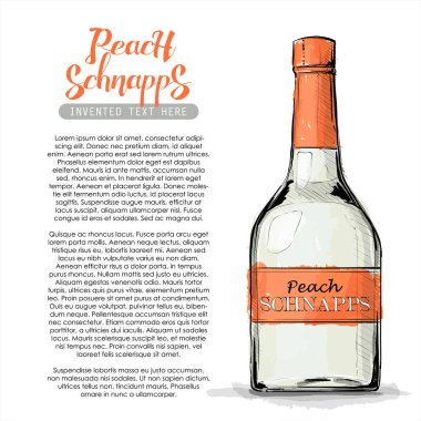 Şeftali schnapps şişe el çizmek. Vektör çizimi.