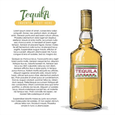 Ele tequila şişe çekin. Vektör çizim.