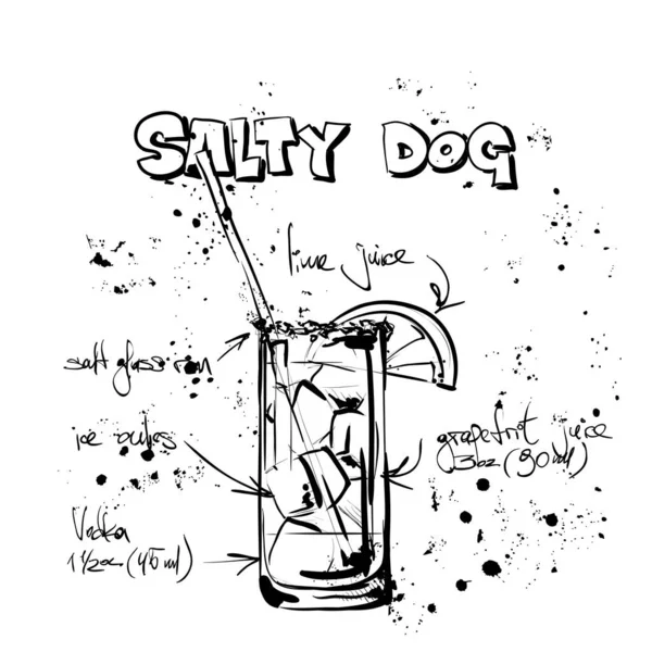 Hand drawn illustration of cocktail. SALTY DOG. Vector collectio — Stock Vector