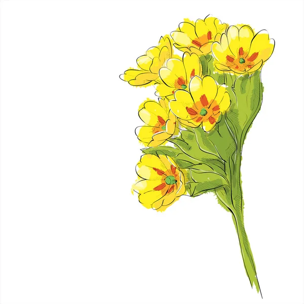 Handzeichnung der Blume. Vektorillustration. — Stockvektor