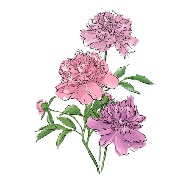 Handzeichnung der Blume. Vektorillustration. — Stockvektor