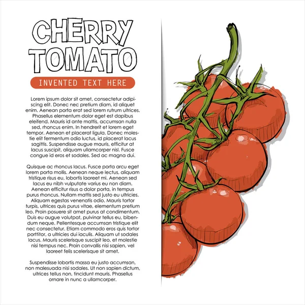 Dessiné Main Tomates Cerises Illustration Vectorielle — Image vectorielle