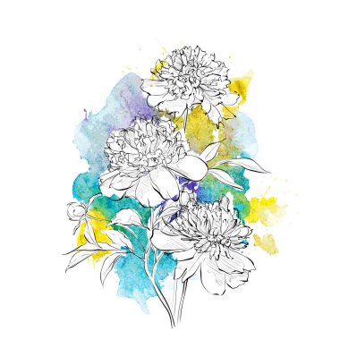 Bir suluboya arka plan üzerinde çiçek El çizmek. Vektör illustra
