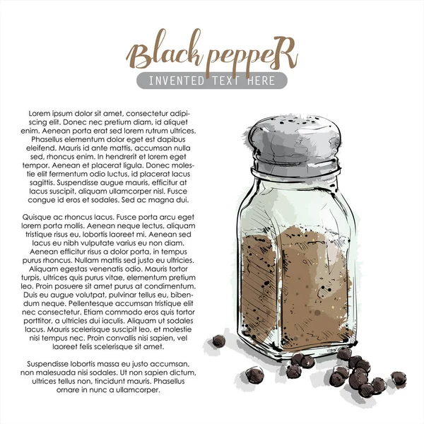 Hand draw of black pepper shaker. Vector illustration. — Stock Vector
