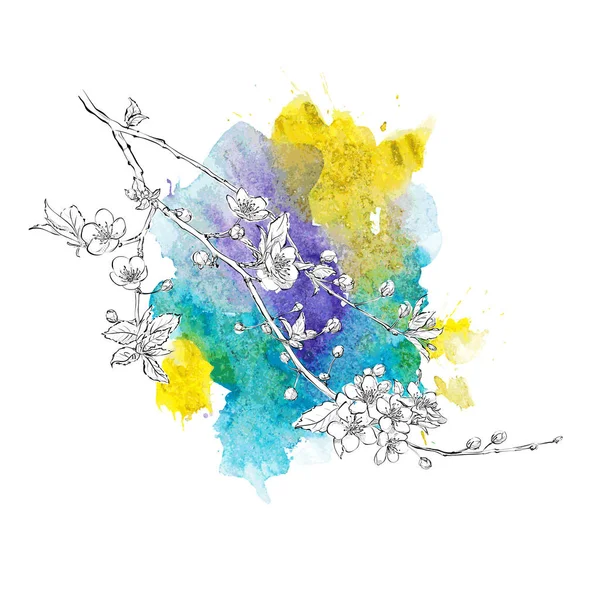 Handzeichnung von Blumen auf einem Aquarell-Hintergrund. Vektorillustrationen — Stockvektor