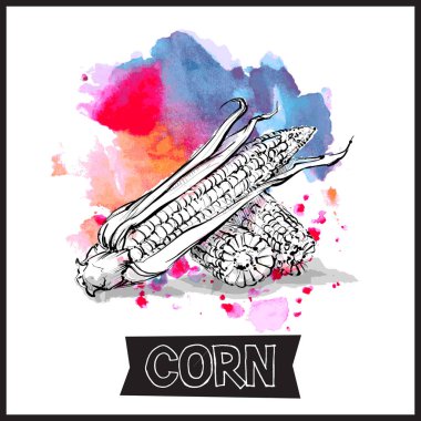 El mısır ı. Vektör çizimi.