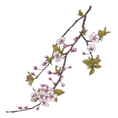 El çiçek çizmek. Vektör çizim.