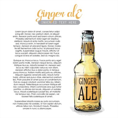 Zencefilli gazoz un el çekimi. Vektör çizimi.