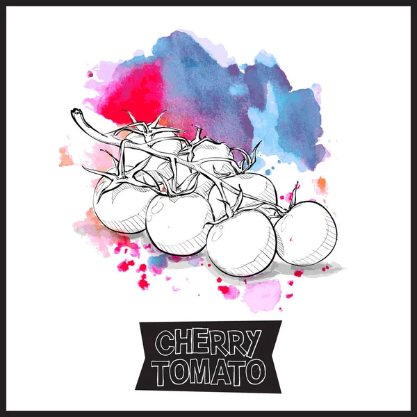 Dibujo Mano Tomates Cherry Ilustración Vectorial — Vector de stock