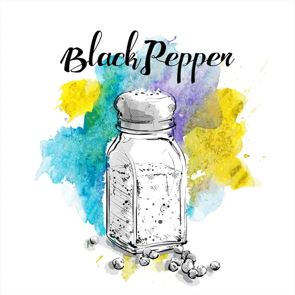 Hand draw of black pepper shaker. Vector illustration. — Stock Vector