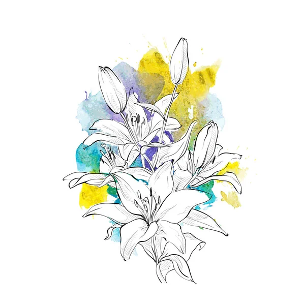 Handzeichnung von Blumen auf einem Aquarell-Hintergrund. Vektorillustrationen — Stockvektor