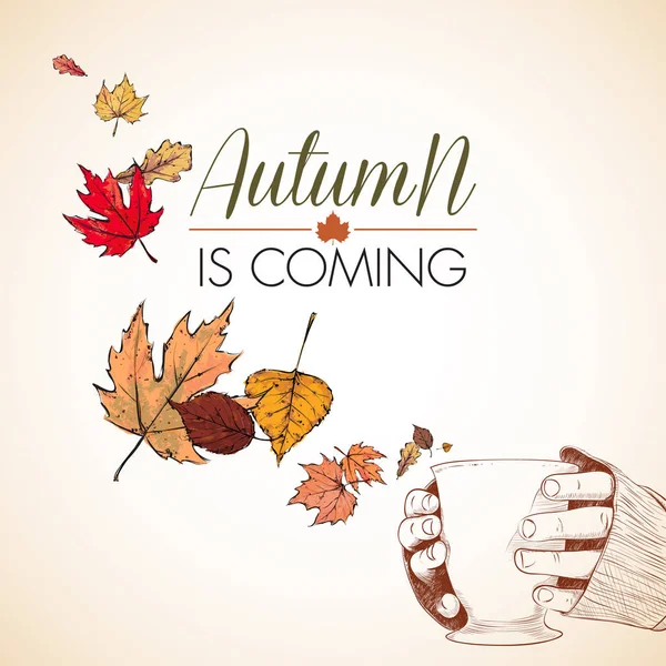 Automne Arrive Illustration Vectorielle Des Mains Avec Tasse Feuilles — Image vectorielle