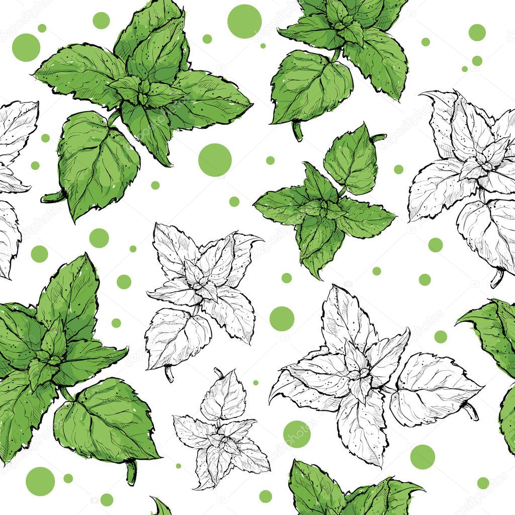 hand-drawn seamless pattern with mint leaves