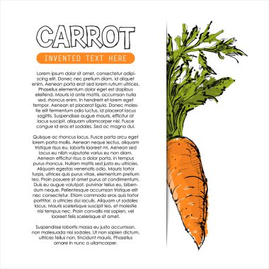 Havuç elle çizin. Vektör çizimi.