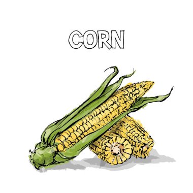 El mısır ı. Vektör çizimi.