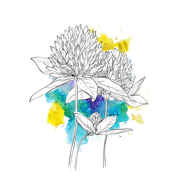Desenho à mão de flores em um fundo aquarela. Vector illustra — Vetor de Stock