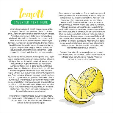 Limonel çizim. Vektör çizimi.