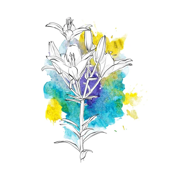 Dessin à la main de fleurs sur un fond aquarelle. Illustrtra vectoriel — Image vectorielle