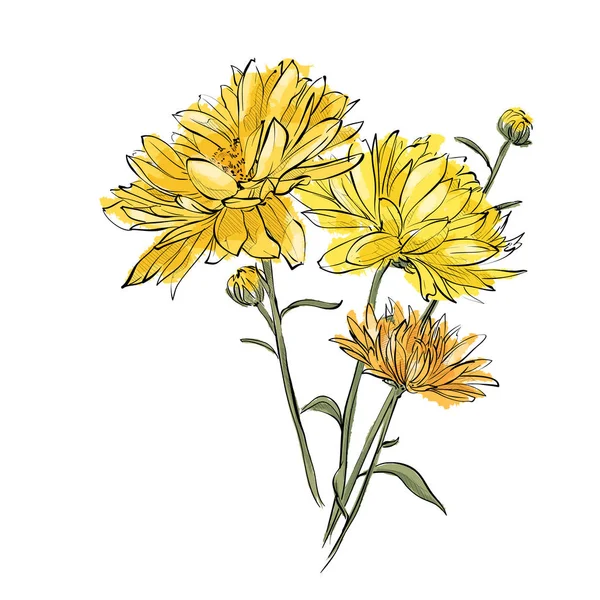 Handzeichnung der Blume. Vektorillustration. — Stockvektor