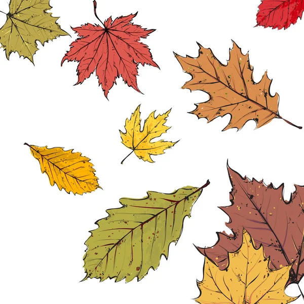 Fundo Outono Com Folhas Coloridas Brilhantes Branco Ilustração Vetorial — Vetor de Stock