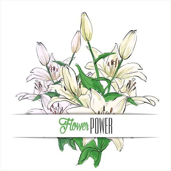 Квіткова Листівка Красивими Білими Квітами Лілії Стиль Ескізу Векторні Ілюстрації — стоковий вектор