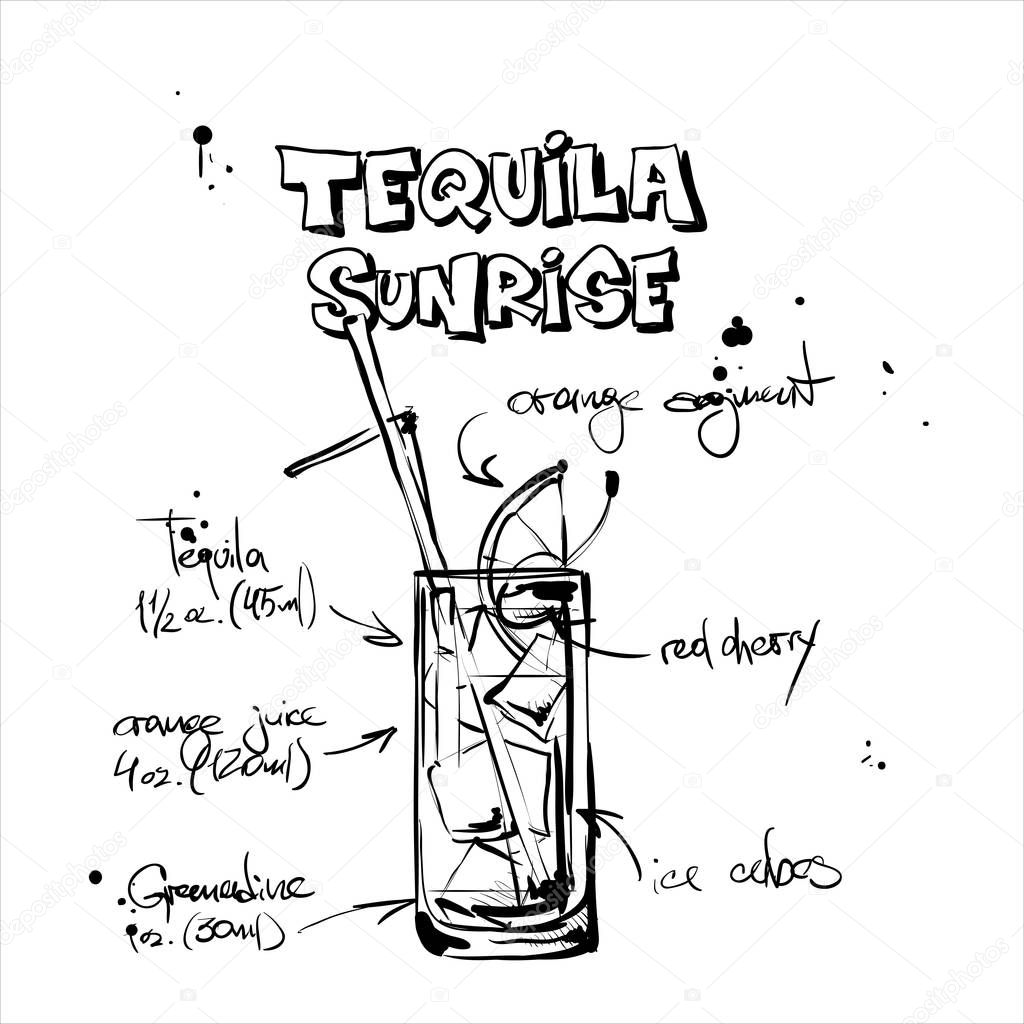 Hand drawn illustration of cocktail. TEQUILA SUNRISE. Vector col