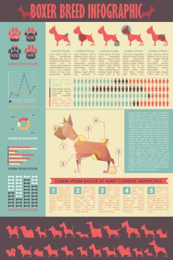 Köpek infografik. Vektör toplama.